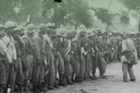 boquerón