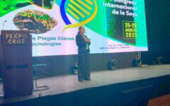 charla internacional
