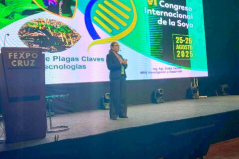charla internacional