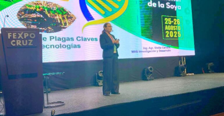 charla internacional