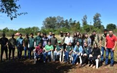 conservación otaño