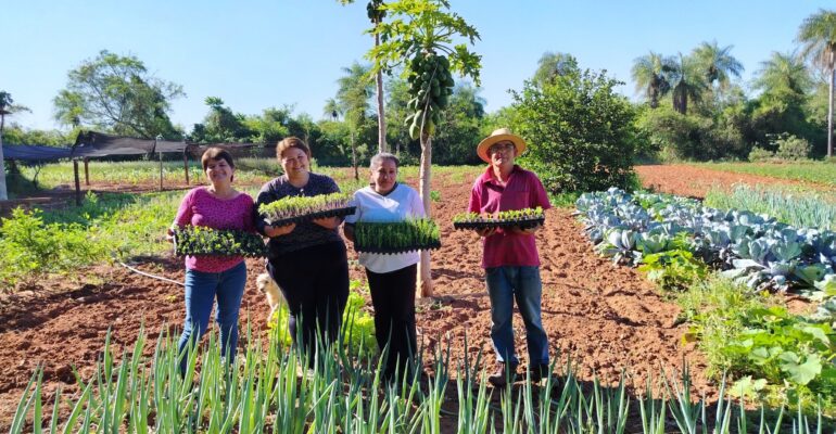 entrega de plantines spp