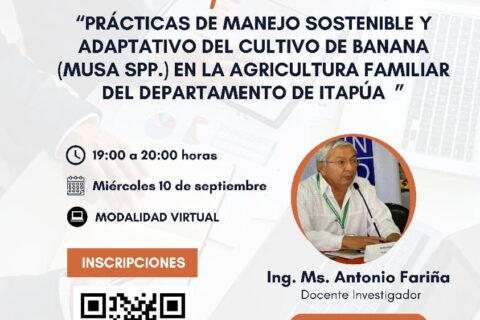 fariña