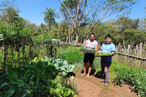 plantines san pedro