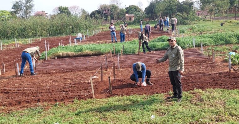 práctica Fisiología Vegetal