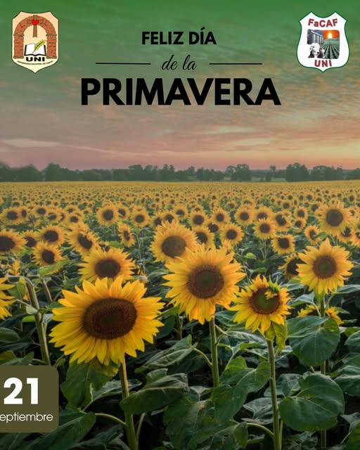 primavera