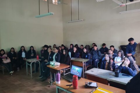 promoción artigas