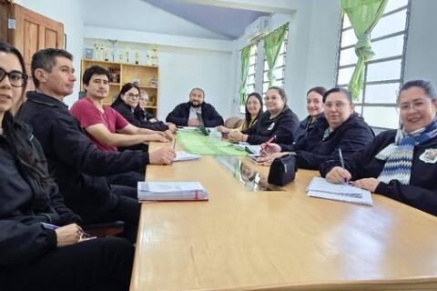 reunión aneaes artigas