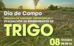 dia de campo trigo evento