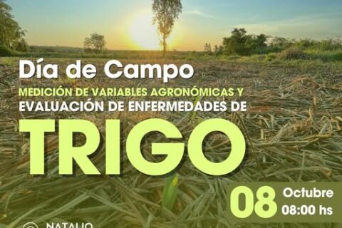 dia de campo trigo evento