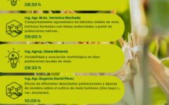 divulgación científica - artigas