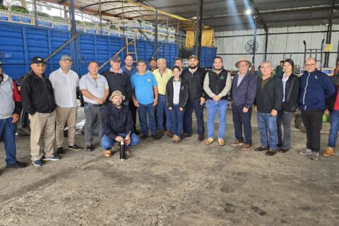 empresa bananera