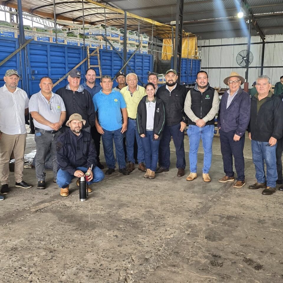 empresa bananera