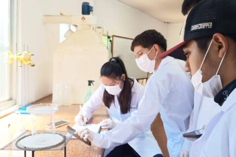 laboratorio Natalio