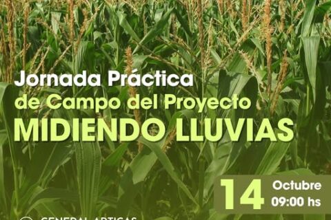 midiendo lluvia evento