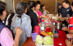 pickles artigas
