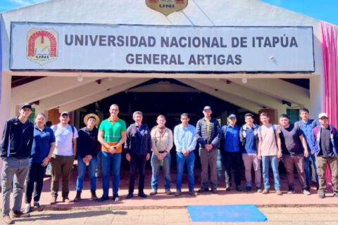 plantaciones forestales Artigas