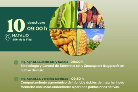 presentación de investigaciones