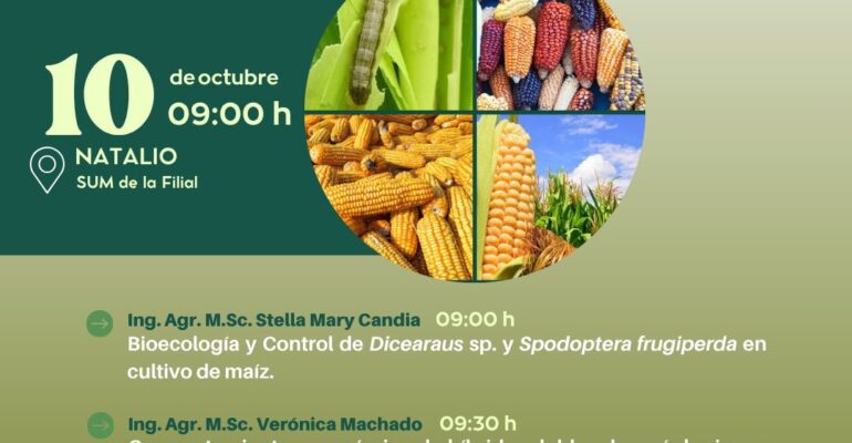 presentación de investigaciones