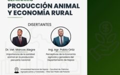 producción animal en san pedro