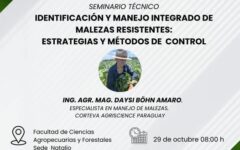 seminario posgrado