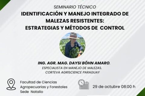 seminario posgrado