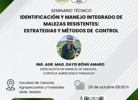 seminario posgrado