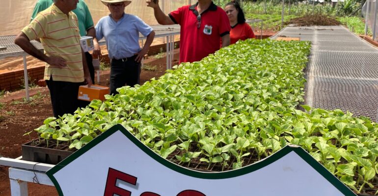 586460163_1336049778535921_2122765154162002432_n