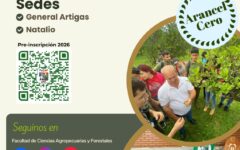 WhatsApp Image 2025-11-21 at 10.10.49