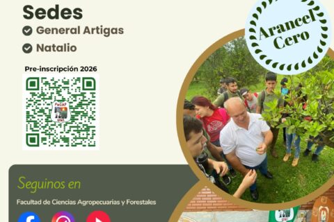 WhatsApp Image 2025-11-21 at 10.10.49