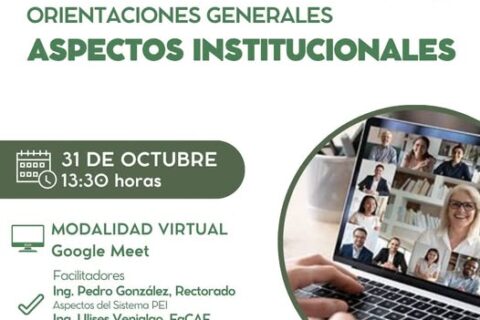 aspectos institucionales