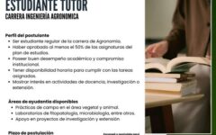 convocatoria estudiante tutor