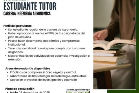convocatoria estudiante tutor