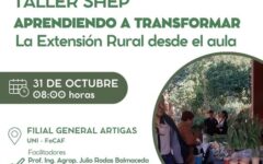 enfoque shep Artigas