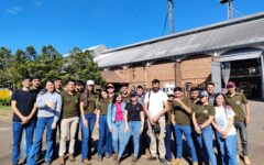 gira de estudio arroz - Natalio