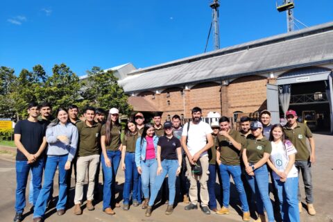 gira de estudio arroz - Natalio