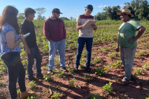 grupo 5 gernoplasma artigas