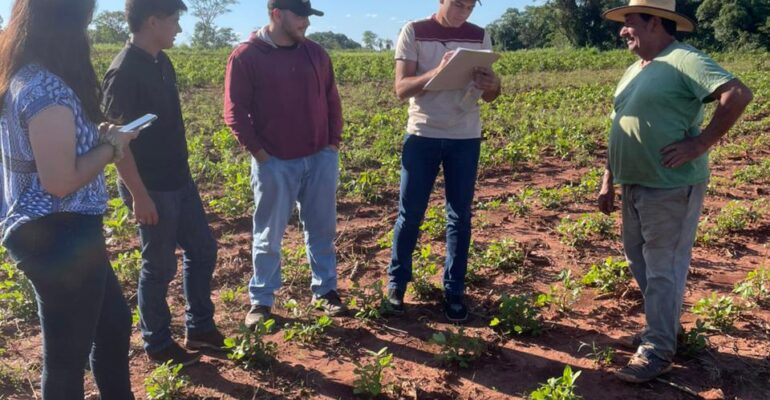 grupo 5 gernoplasma artigas