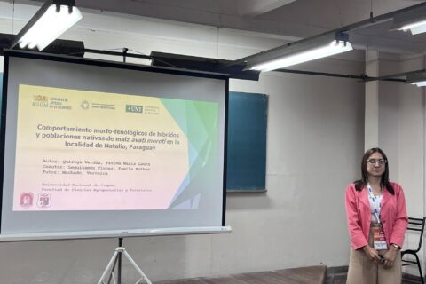 investigadora artigas