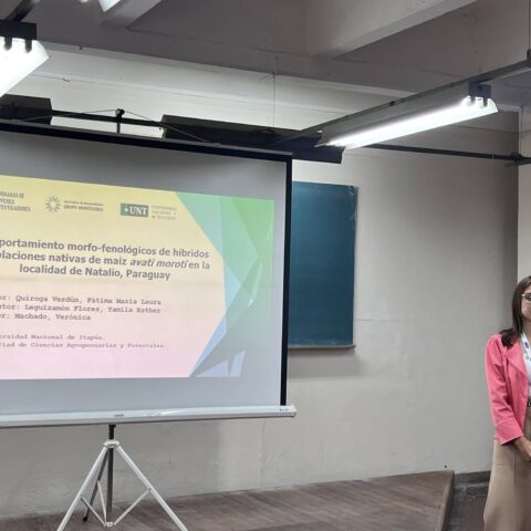 investigadora artigas