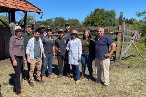 manejo de bovinos natalio