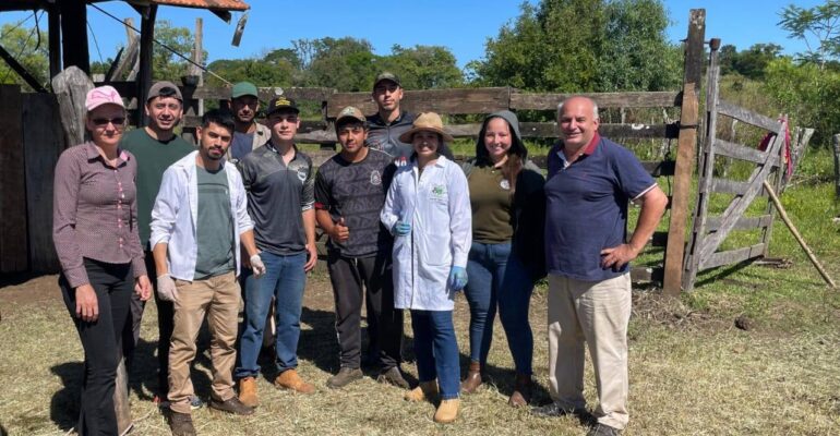 manejo de bovinos natalio