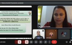 predefensa de Tesis MPC