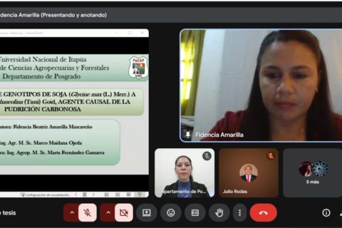 predefensa de Tesis MPC