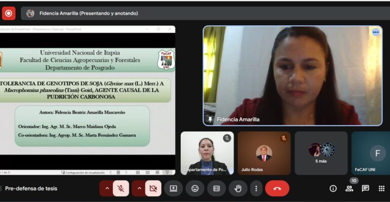 predefensa de Tesis MPC