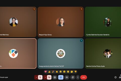 reunión de evaluación de desempeño SUM