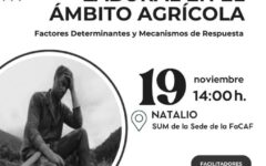 seminario Explotación Laobral Natalio