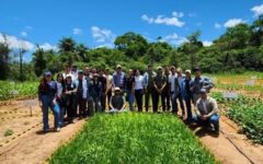 trabajo en campo Fitotecnia I