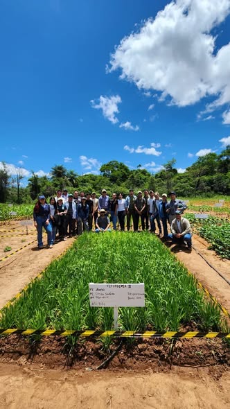 trabajo en campo Fitotecnia I