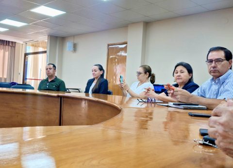 Presentación de investigación